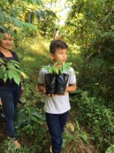 A kid carries two tree saplings during a reforestation day with local children and communities