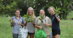 Volunteers foraging for macaw enrichment