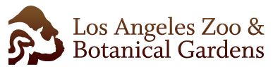 Our Partner
